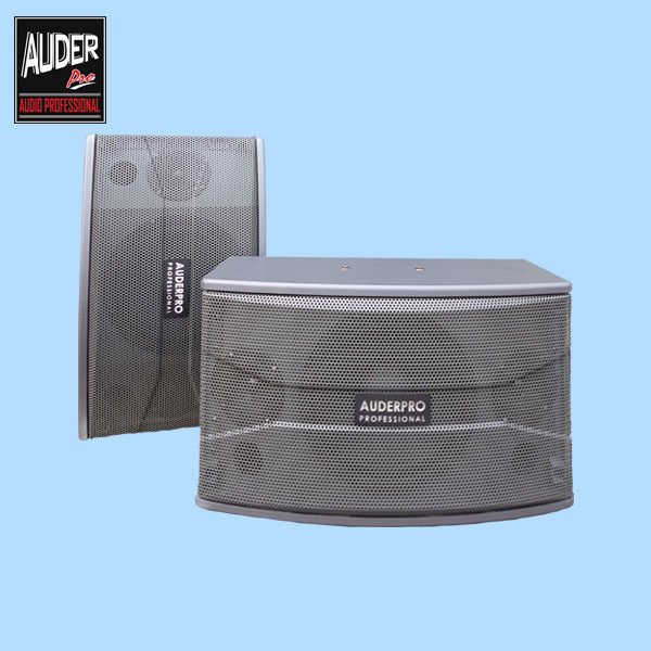 AUDERPRO AP-10KX 10 INCH KX-CLASS