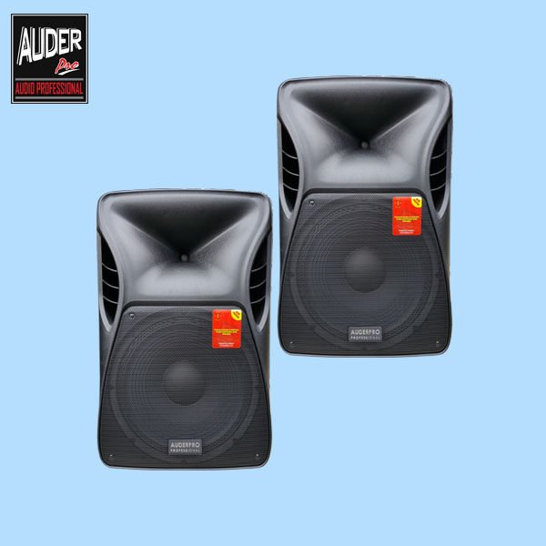 AUDERPRO AP-122X 12 INCH X-CLASS