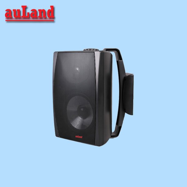 AULAND AD-65040WS WALL SPEAKER